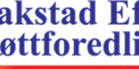 hbrakstad_logo